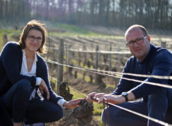 Domaine Serge Laloue - THAUVENAY