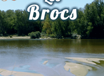 Les Sentiers de la Nature : Les Brocs - LA CELLE-SUR-LOIRE