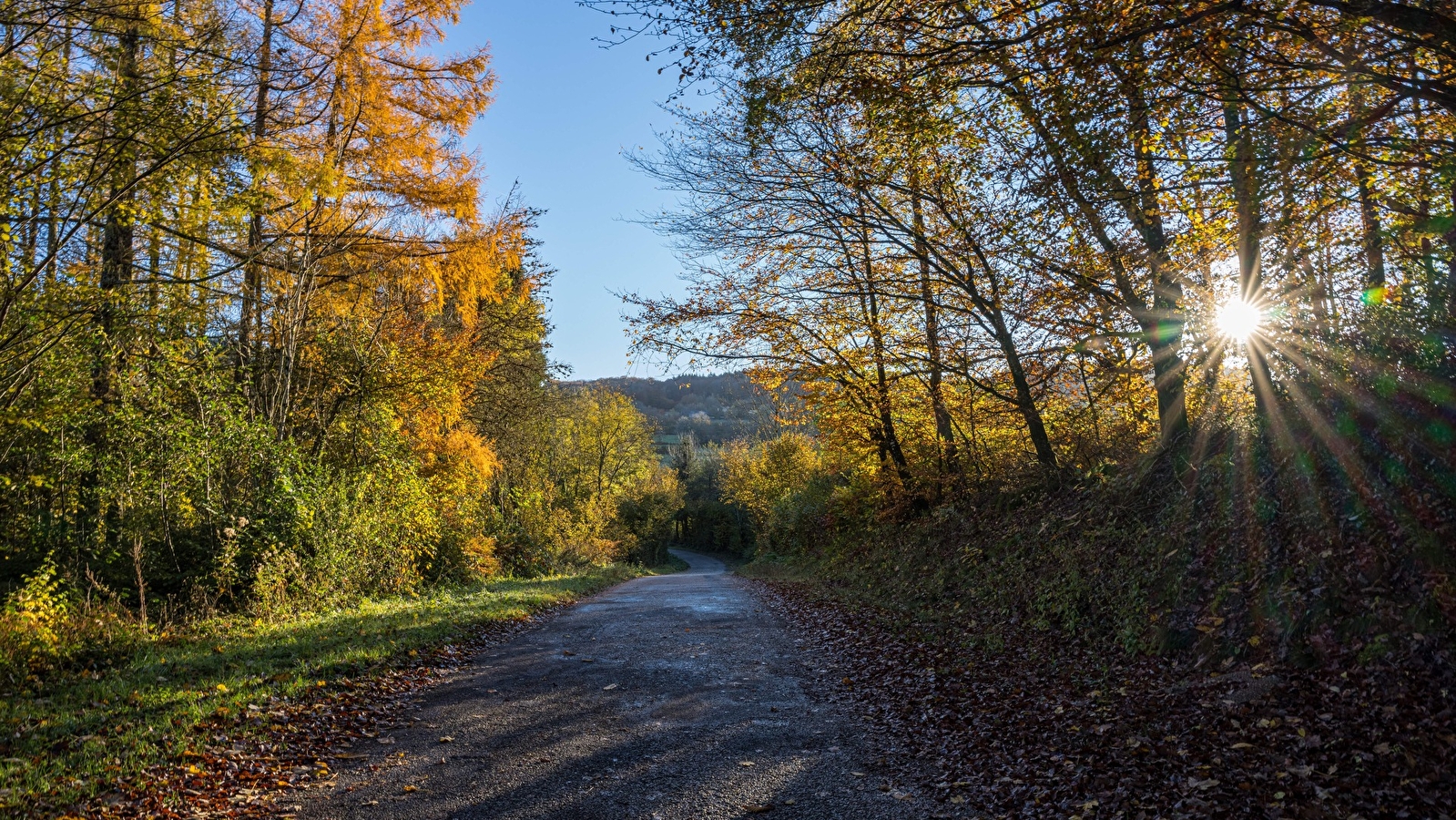 Au Cyclo DéChaîné - Location & vente de vélos électriques et itinéraires dans le Sud-Morvan