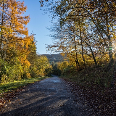Au Cyclo DéChaîné - Location & vente de vélos électriques et itinéraires dans le Sud-Morvan
