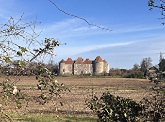 Près du château fort de La Motte-Josserand - PERROY