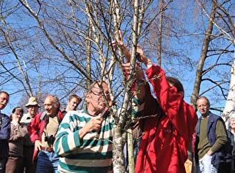 Stage verger : taille des arbres fruitiers - SAINT-BRISSON