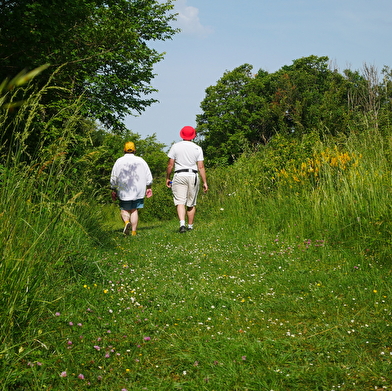 Sentier de la nature du Coteau du Chaumois à Parigny-les-Vaux