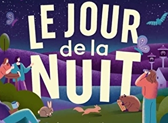 Le jour de la nuit à Bibracte - SAINT-LEGER-SOUS-BEUVRAY