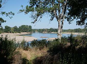 Balade famille : Sentier-nature du Passeur du Bec d'Allier - GIMOUILLE