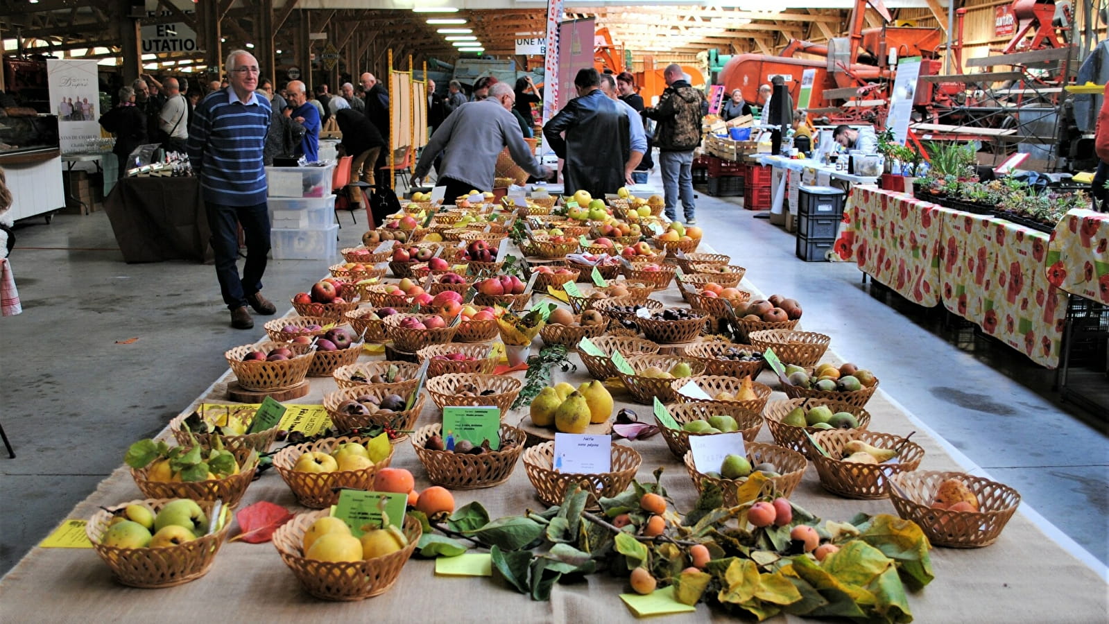 Marché du Terroir à Saint-Loup-des-Bois