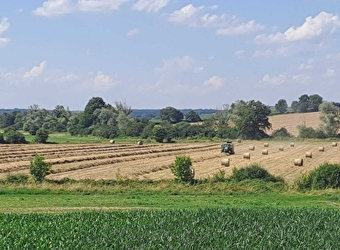 Evers Antoine - LUTHENAY-UXELOUP