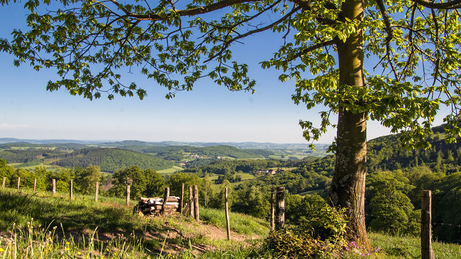 Panorama sur la Loire 
