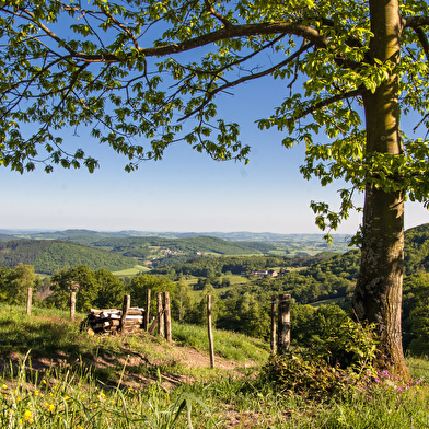 Panorama sur la Loire 