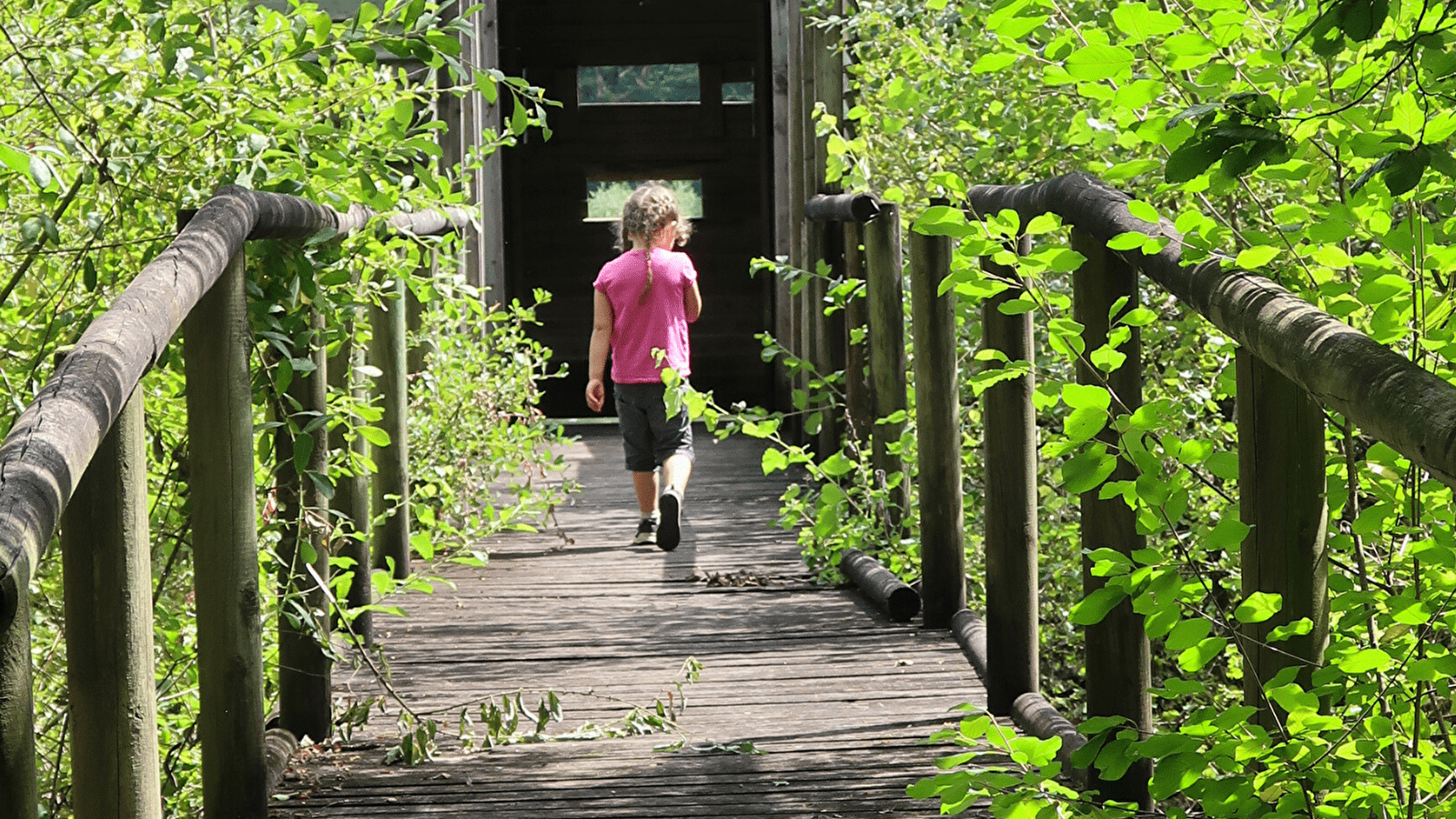 Sentier Nature : Le Héron Cendré