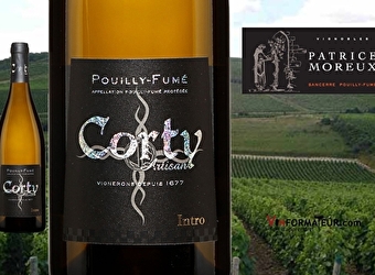 Vignobles Patrice Moreux - POUILLY-SUR-LOIRE