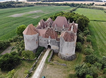 A l'assaut du château fort de la Motte Josserand - DONZY