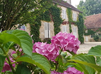 BruzHotes - MARS-SUR-ALLIER