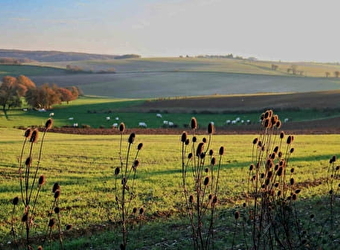 Circuit panoramique au départ de Bouhy - BOUHY