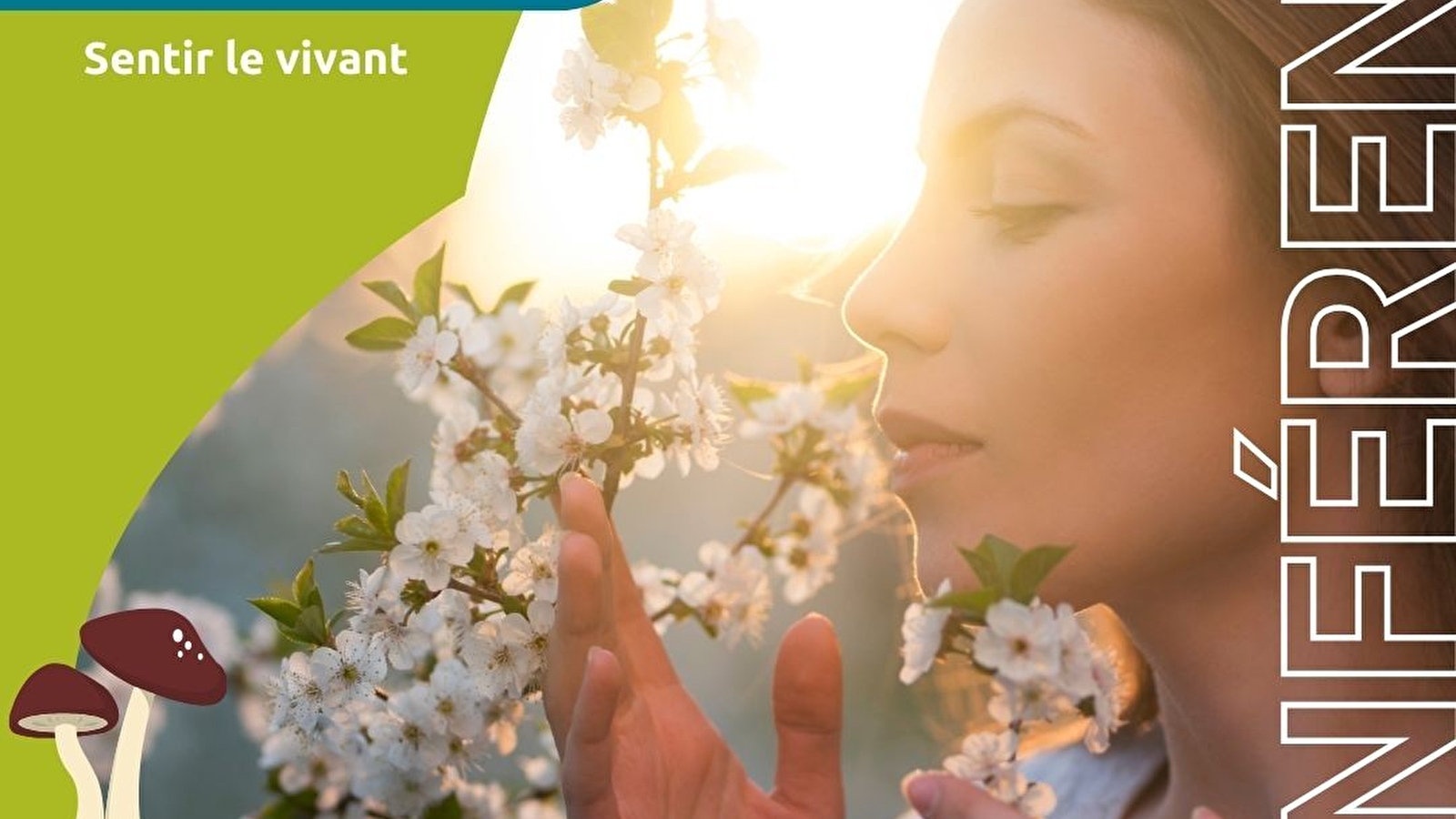 Club nature adulte 'Sentir le vivant'