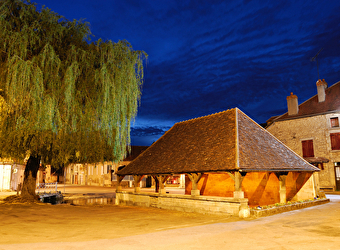 Chemin des écrivains : Romain Rolland - DORNECY