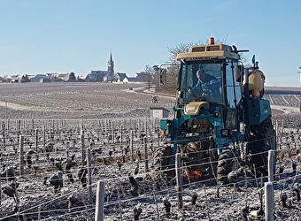 Domaine de Riaux - SAINT-ANDELAIN