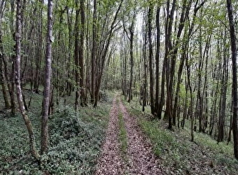 Circuit VTT 2 : Clamecy-Rix-Clamecy - CLAMECY