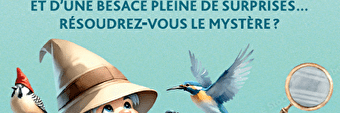 Enquête Game 'Harold et la Lettre Mystérieuse' - BAZOLLES