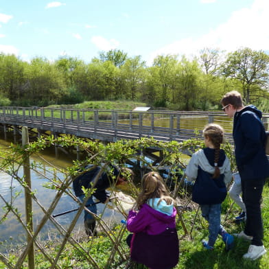 Les sentiers de l'Arche de la biodiversité