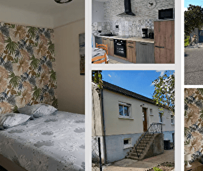 Les Cyclamens - COSNE-COURS-SUR-LOIRE