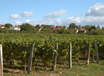 Vignoble du Rioussat - LIVRY
