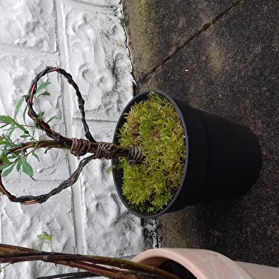 Stage de vannerie 'Hiver et Printemps'