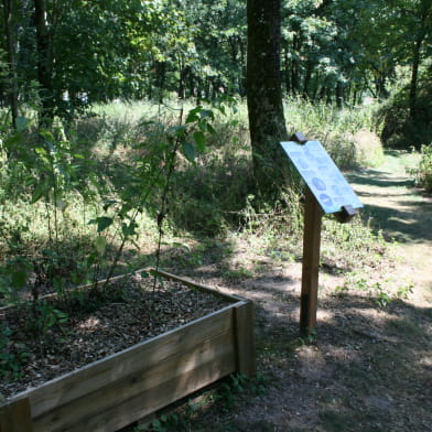 Sentier sensoriel de l'île de Caqueret