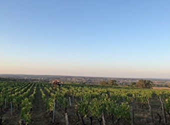 Domaine Bois Bourbon - LIVRY