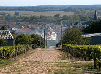 Camping municipal Le Malaga Pouilly sur Loire - POUILLY-SUR-LOIRE
