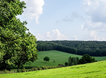 Circuit des Forges - DONZY