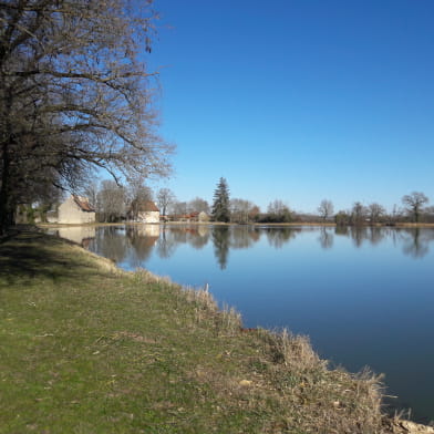 Randonnée à Avril-sur-Loire / Boucle de Forge Neuve