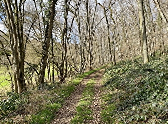 Promenons-nous dans les bois à Saint-Loup - SAINT-LOUP-DES-BOIS