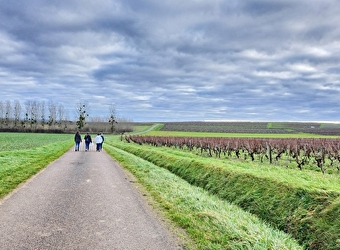Entre caves et claire fontaine de Saint-Andelain - SAINT-ANDELAIN
