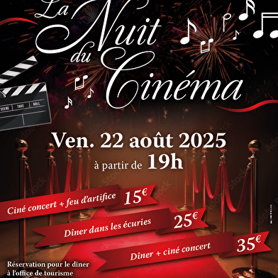 Spectacle son et lumière 'Nuit du Cinéma'
