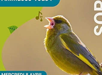 Visite-sortie 'Animusée-vous ! A l'écoute des animaux' - COSNE-COURS-SUR-LOIRE