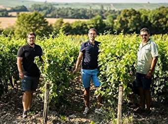 Vignobles Berthier - SAINTE-GEMME-EN-SANCERROIS