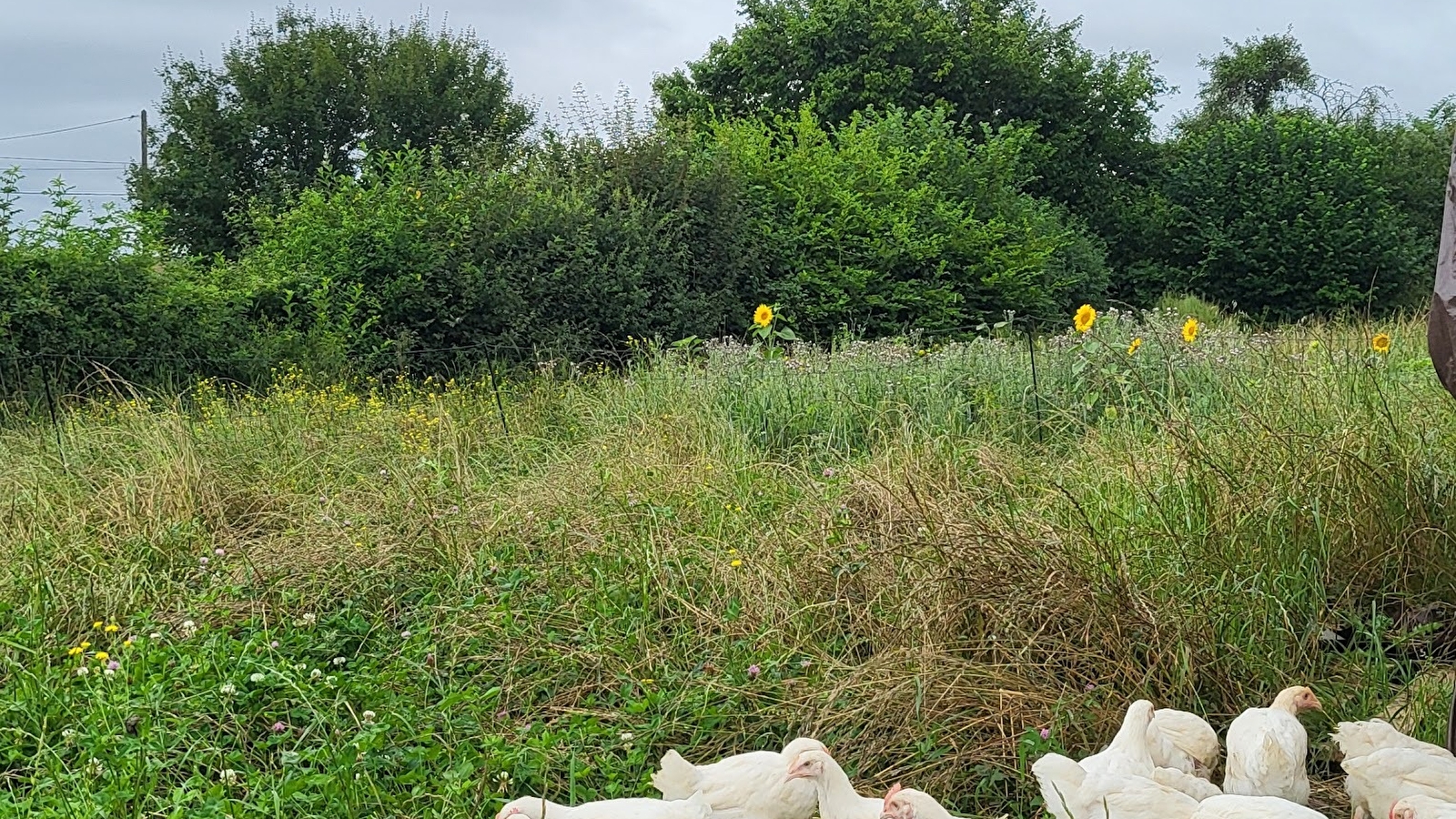 La Ferme de Jessi