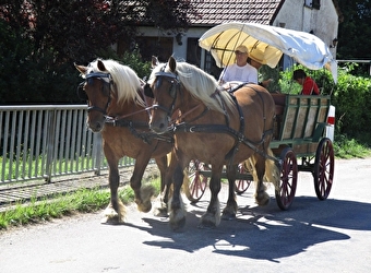 Promenade Alluysienne en calèche - ALLUY