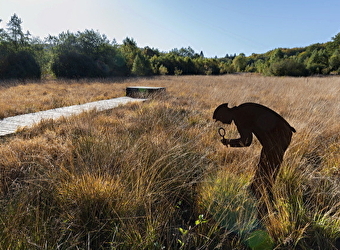 Vers les bois du Folin - SAINT-LEGER-SOUS-BEUVRAY