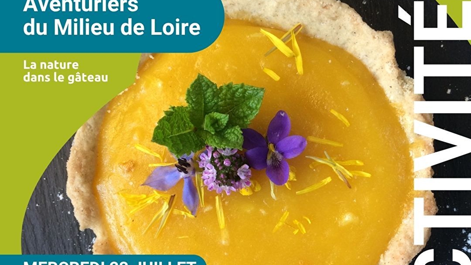 Les Aventuriers du Milieu de Loire : journée nature pour les 6-12 ans, spéciale 'La nature dans le gâteau'