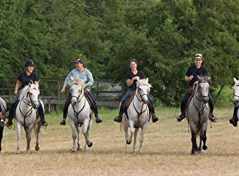 Centre équestre Camargue Equitation Loisirs en Nièvre - COSNE-COURS-SUR-LOIRE