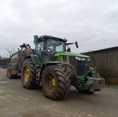 Le Charme des poulets d'ici