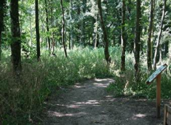 Sentier sensoriel de l'île de Caqueret - DECIZE (58300)