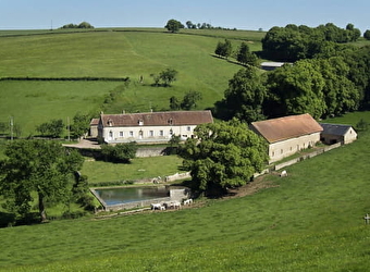 Chambres d'hôtes Domaine de Drémont - ANTHIEN