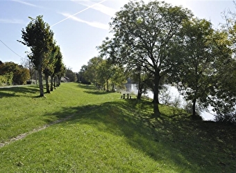 Site de Thareau - SAINT-HILAIRE-FONTAINE