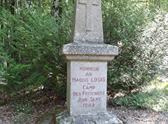 Le Maquis Louis - LAROCHEMILLAY