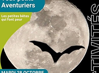 Les Tout-petits Aventuriers - matinée nature pour les moins de 6 ans - spéciale 'Les petites bêtes qui font peur' - POUILLY-SUR-LOIRE