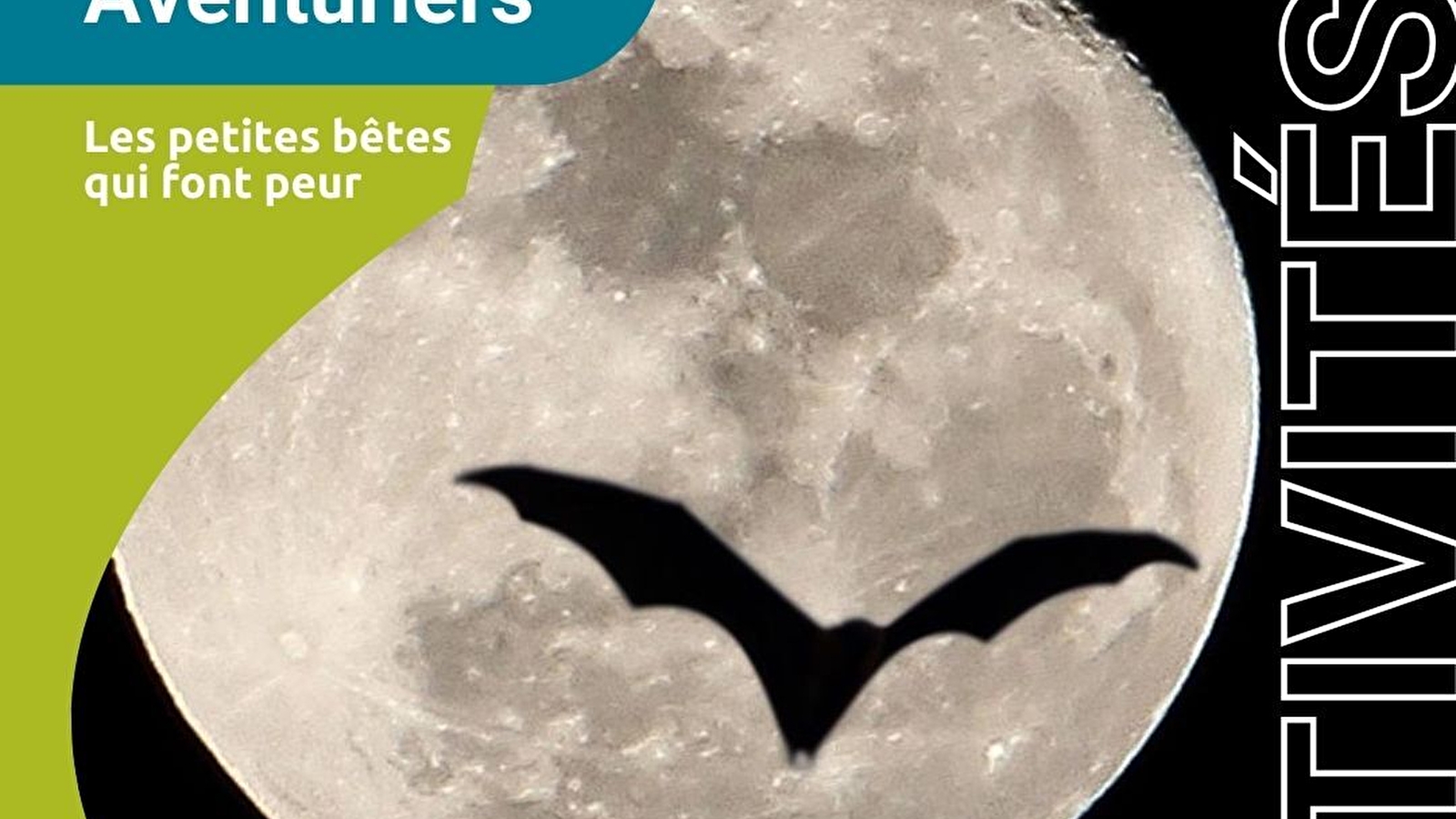 Les Tout-petits Aventuriers - matinée nature pour les moins de 6 ans - spéciale 'Les petites bêtes qui font peur'