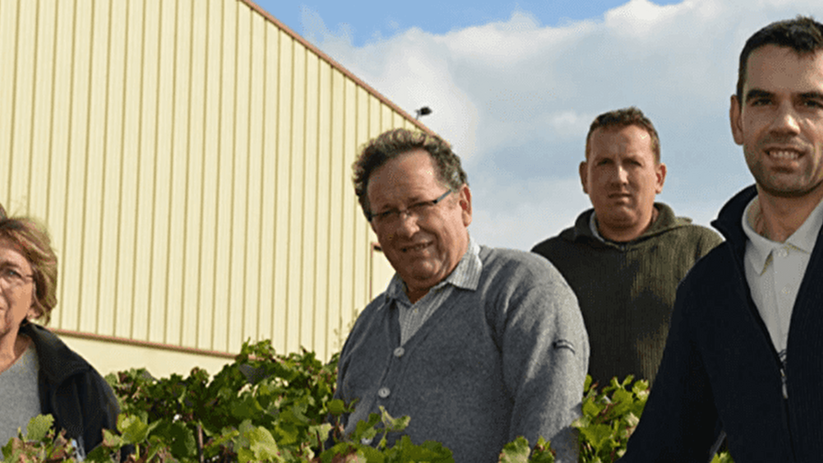 Vignobles Dauny
